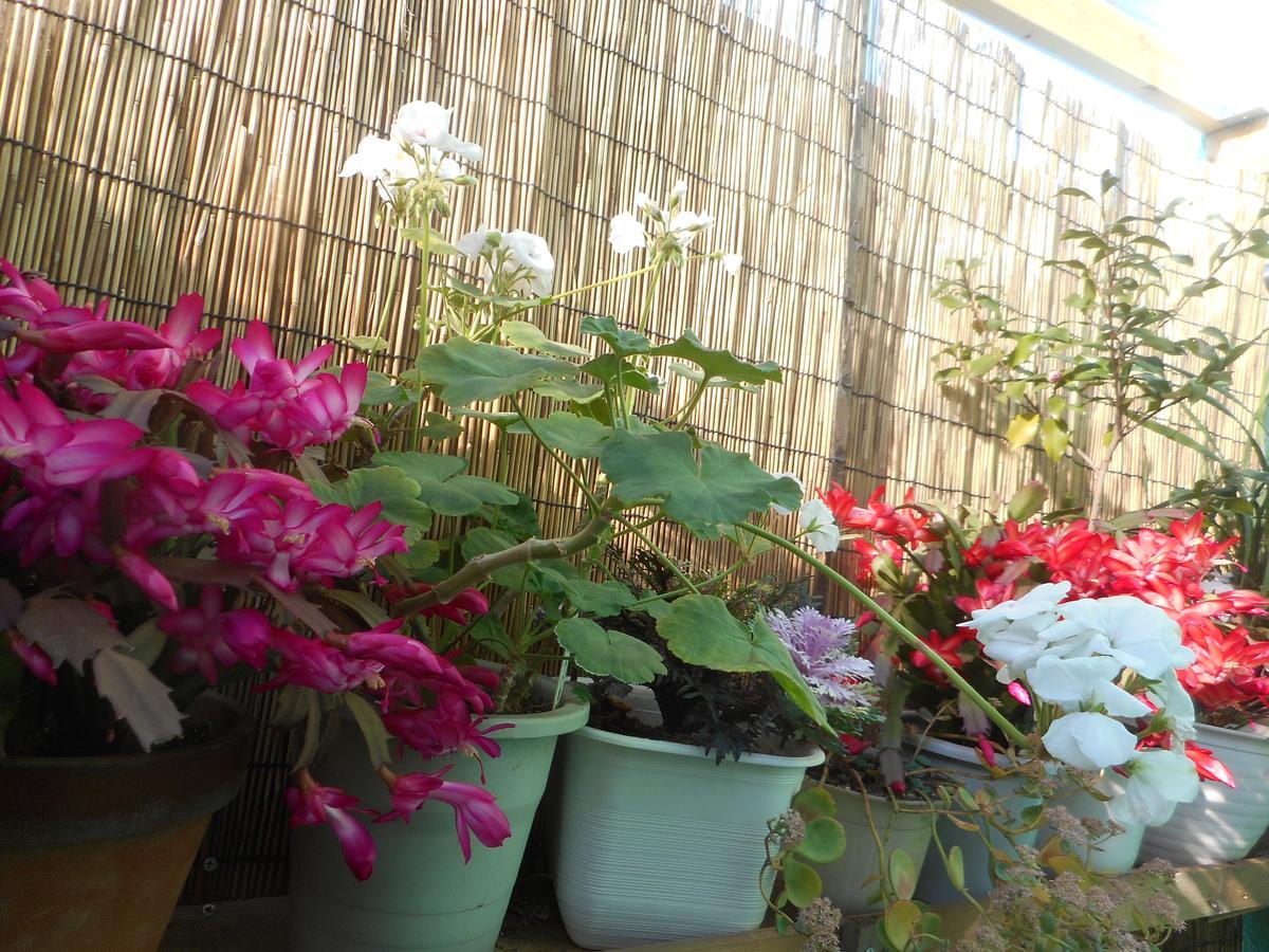 Jgh Tokyo Hostel Kawaguchi  Exterior photo